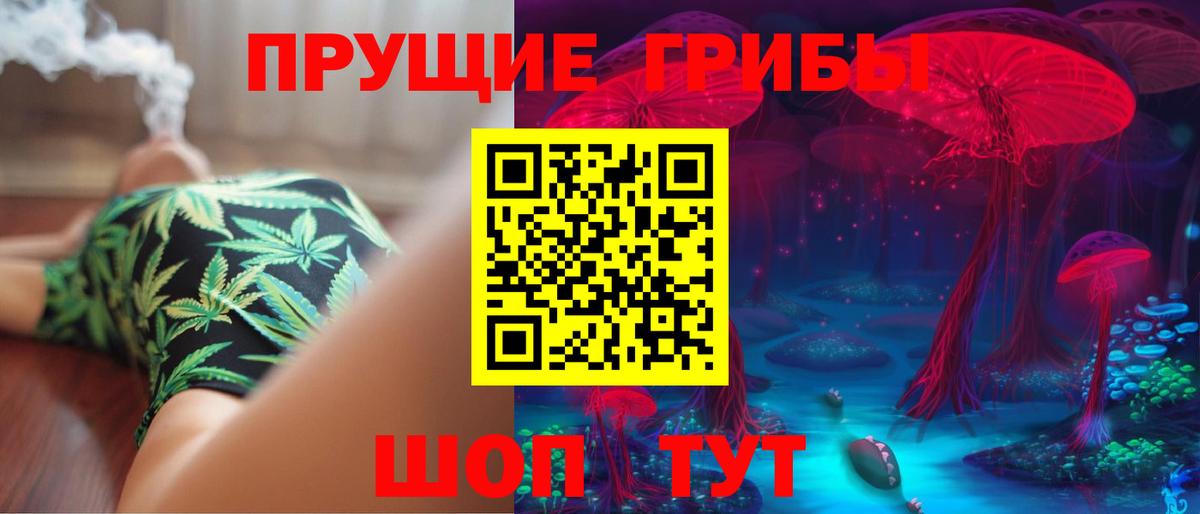 Псилоцибиновые грибы прущие грибы Лосино-Петровский