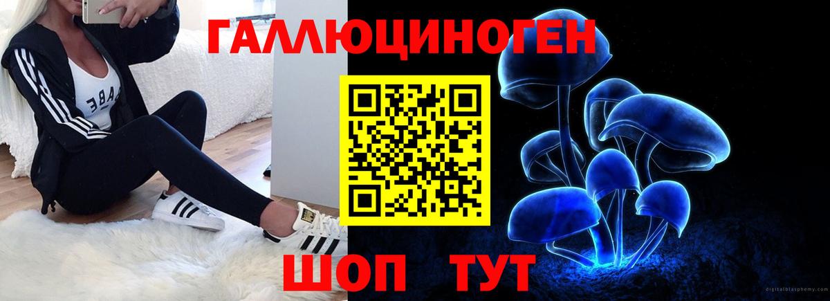 Псилоцибиновые грибы ЛСД  Вход с VPN  Лосино-Петровский  Галлюциногенные грибы Psilocybe 